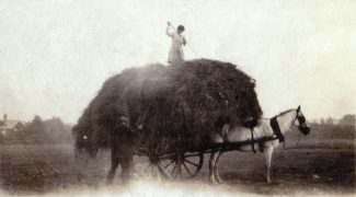 Haymaking in the Top Field. | Denise Hamilton.