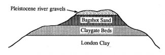 Geological succession at Westley Heights, Langdon Hills | From 'Essex Rock' by Gerald Lucy