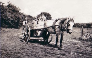 Stevie the horse pulling Richards Dairy milk cart.  James Richards and Tommy Pragnall.  Children unknown. | Denise Hamilton.